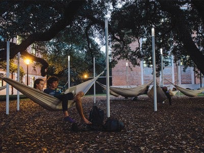 Hammock Grove